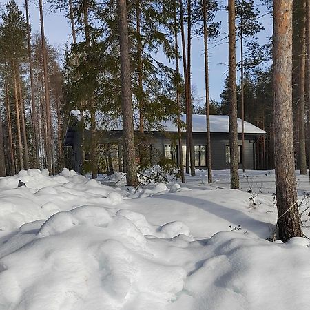 Vila Norvalisma Rovaniemi Exteriér fotografie