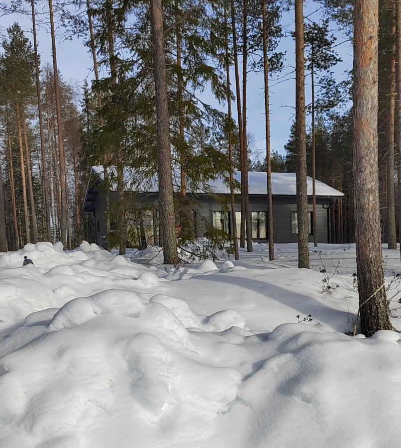 Vila Norvalisma Rovaniemi Exteriér fotografie
